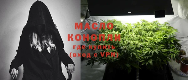 стаф Магас