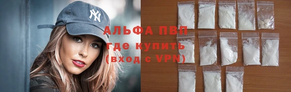 стаф Магас