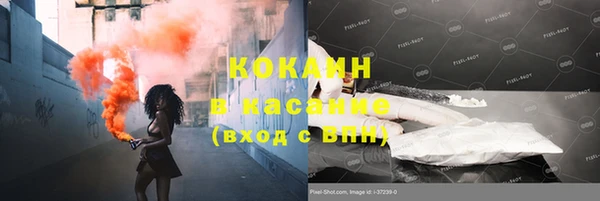 стаф Магас