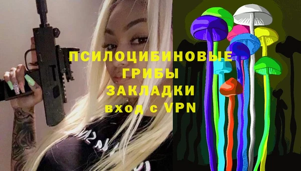 стаф Магас