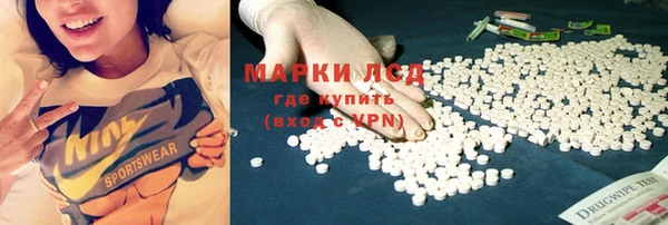 стаф Магас