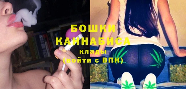 стаф Магас