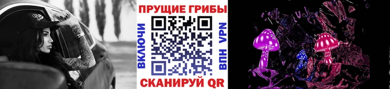 купить наркотики сайты  Алексеевка  Псилоцибиновые грибы Psilocybe 