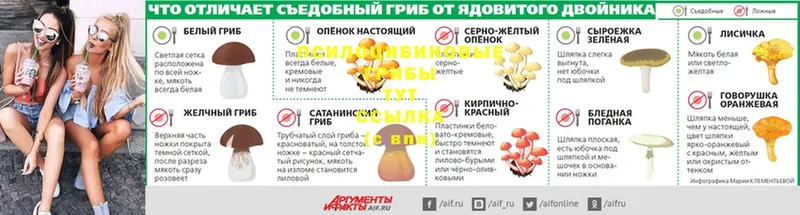 Псилоцибиновые грибы мицелий  Алексеевка 