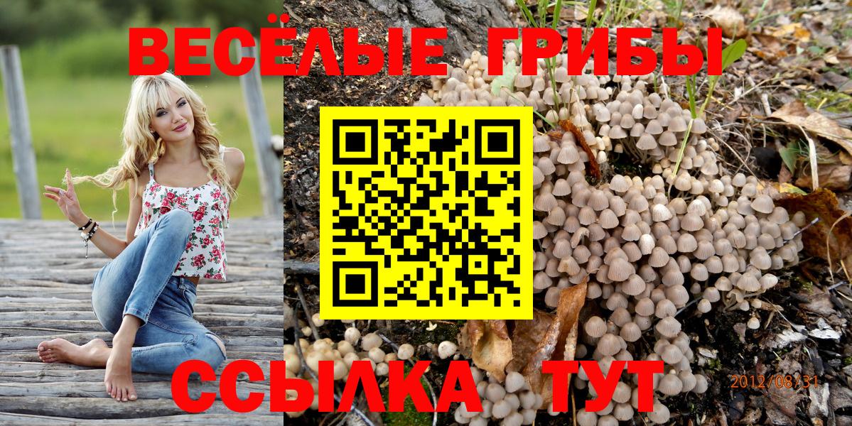 Алексеевка  закладка  Вход с VPN  Галлюциногенные грибы Cubensis 