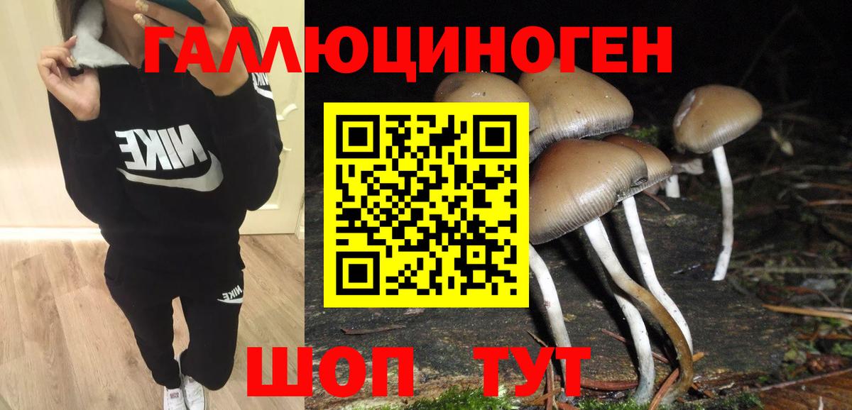 Галлюциногенные грибы Psilocybine cubensis Алексеевка