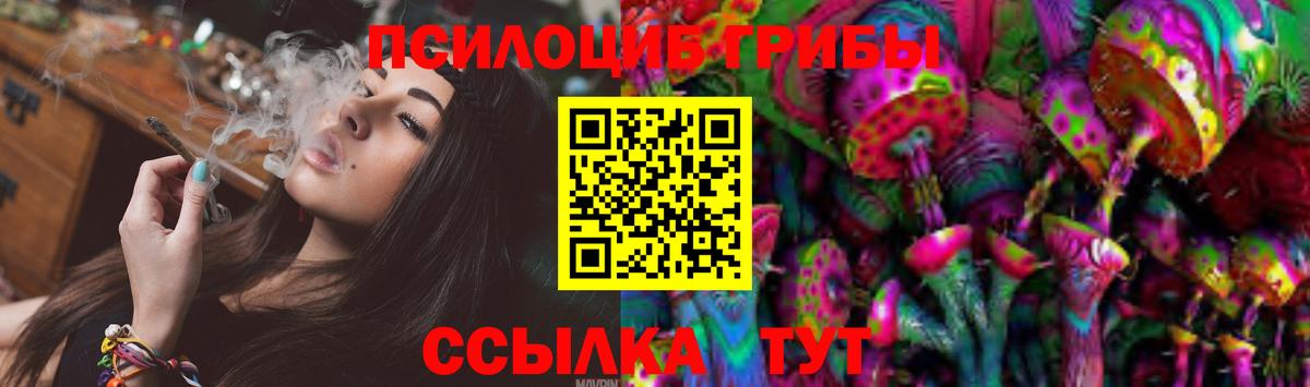 Галлюциногенные грибы Magic Shrooms  Галлюциногенные грибы Psilocybine cubensis  Алексеевка 